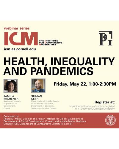 Health Inequality and Pandemics webinar