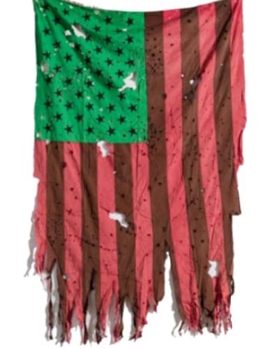 Hammons flag 2017